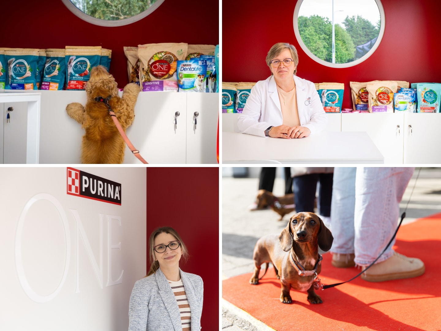 PURINA ONE