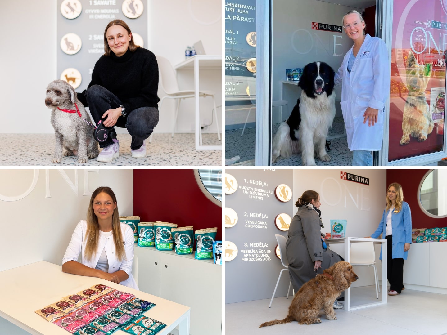 Purina ONE