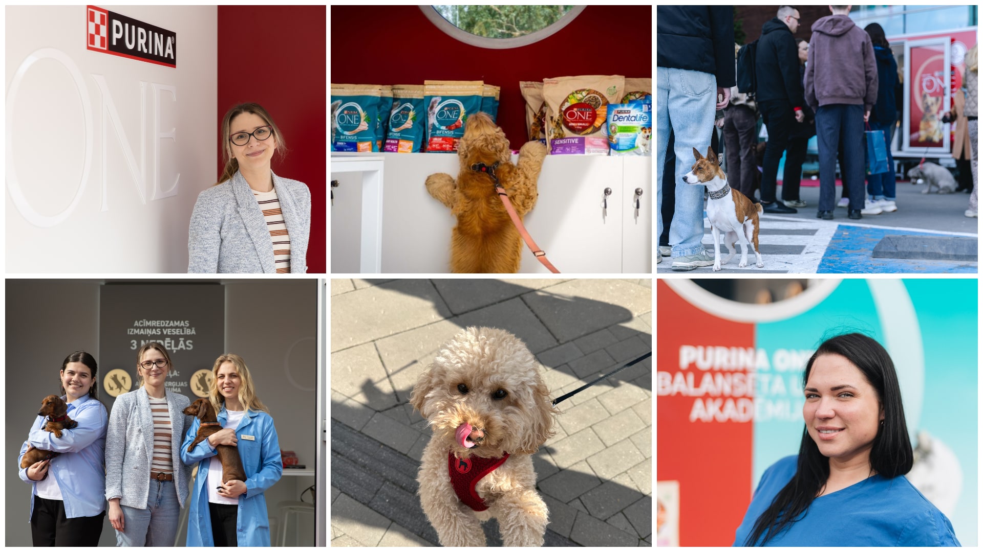Purina ONE