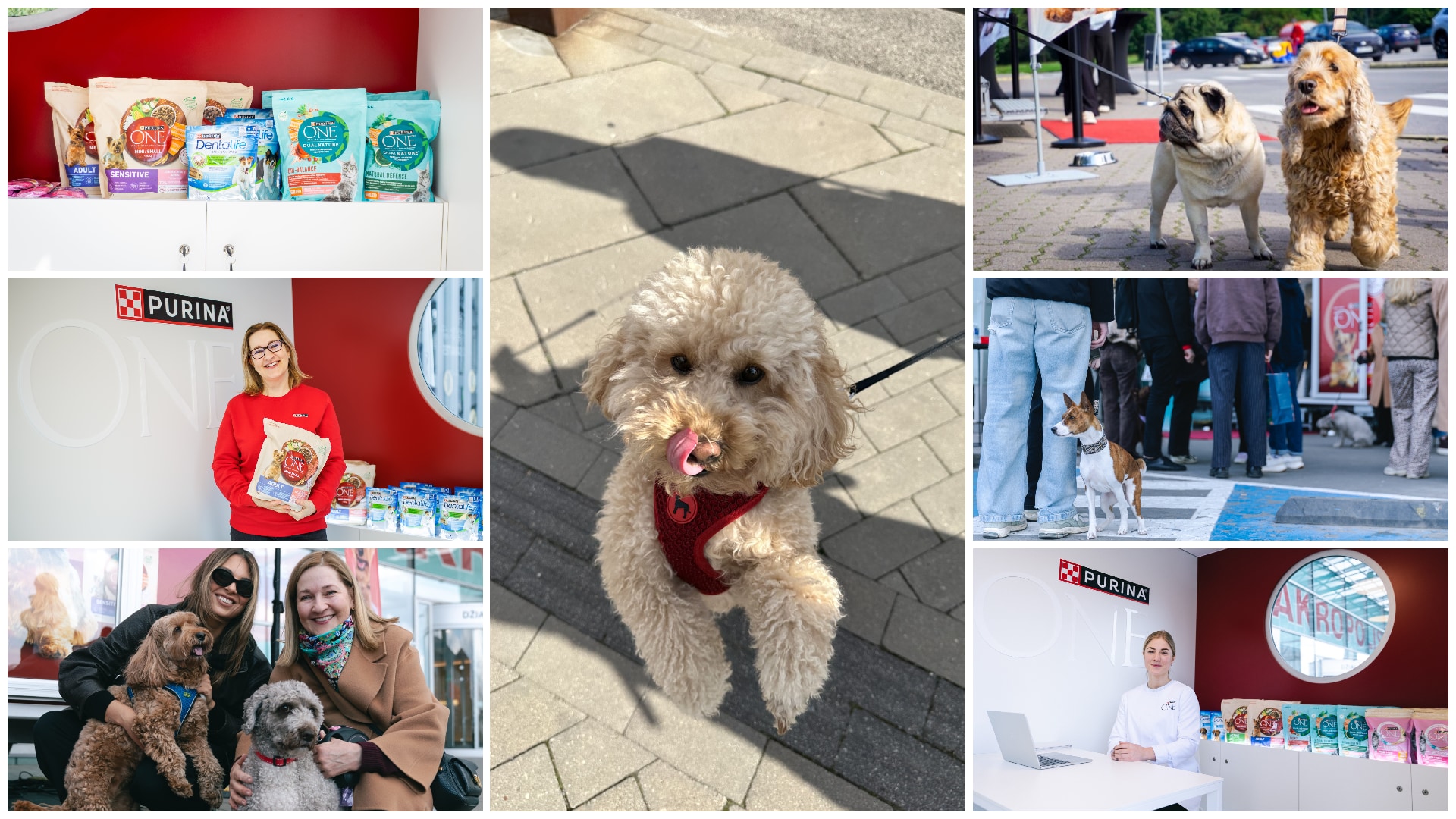 Purina ONE