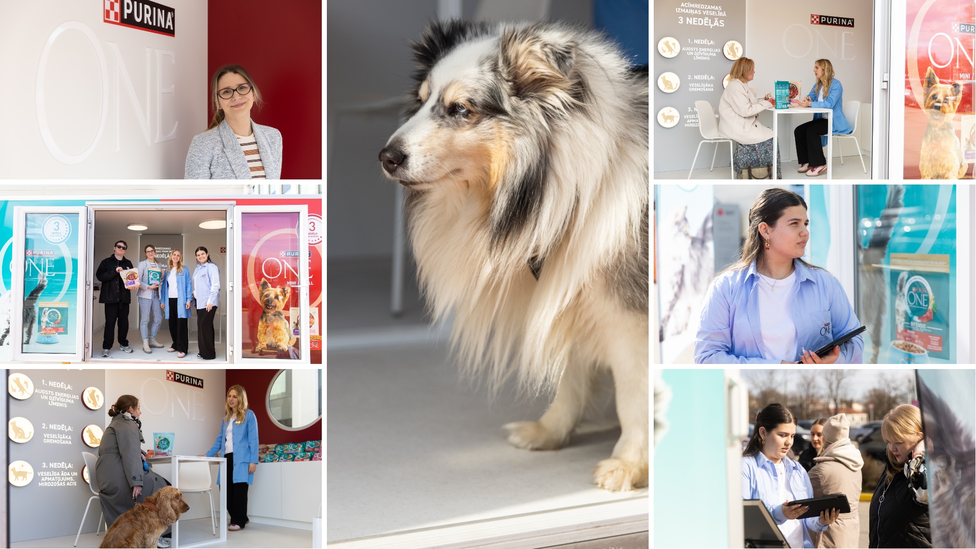 Purina ONE