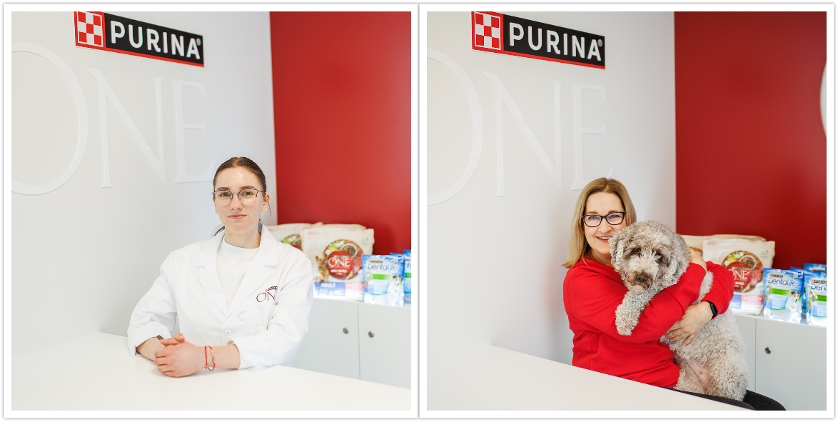 Purina one