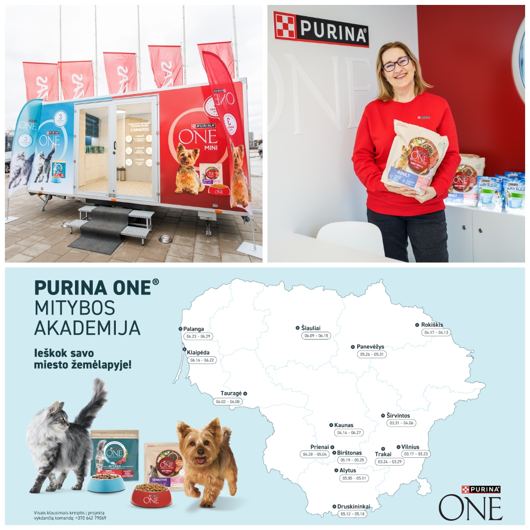 Mitybos akademija