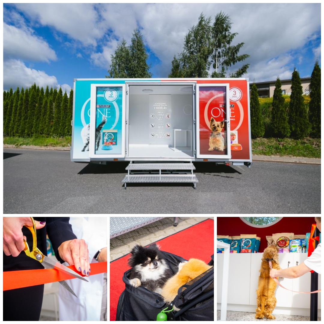 Purina One