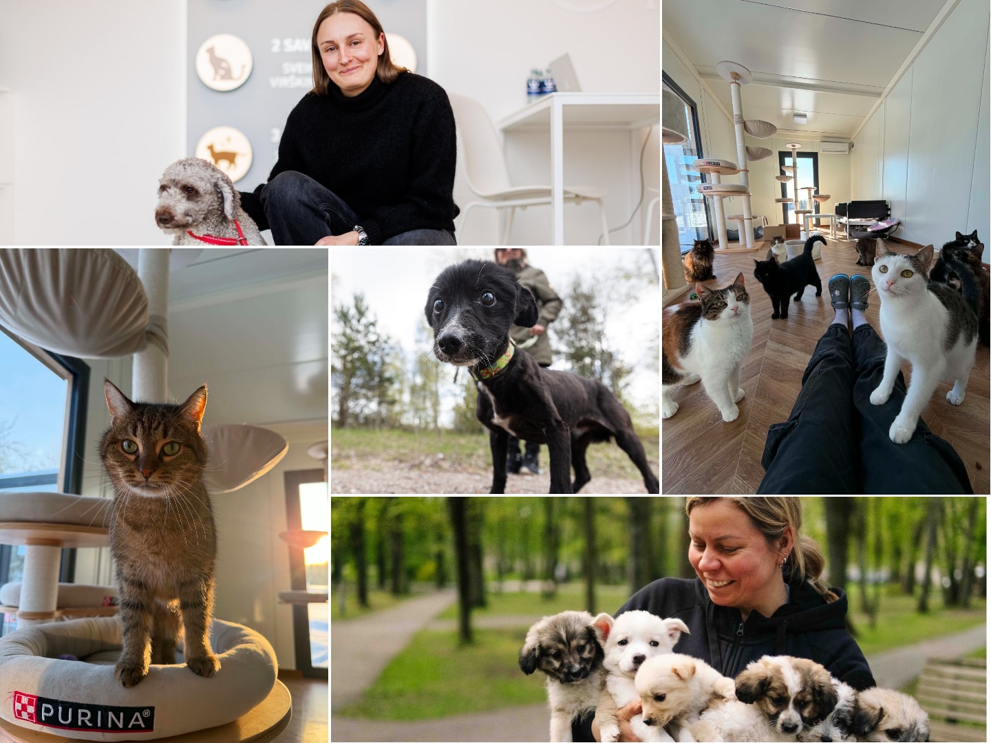 „Purina ONE“ akademija – svečiuose pas „SOS gyvūnus“