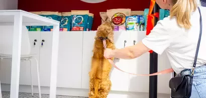 Purina ONE