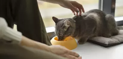 Purina ONE