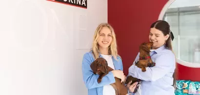 Purina One