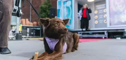 Purina ONE