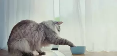 Purina ONE