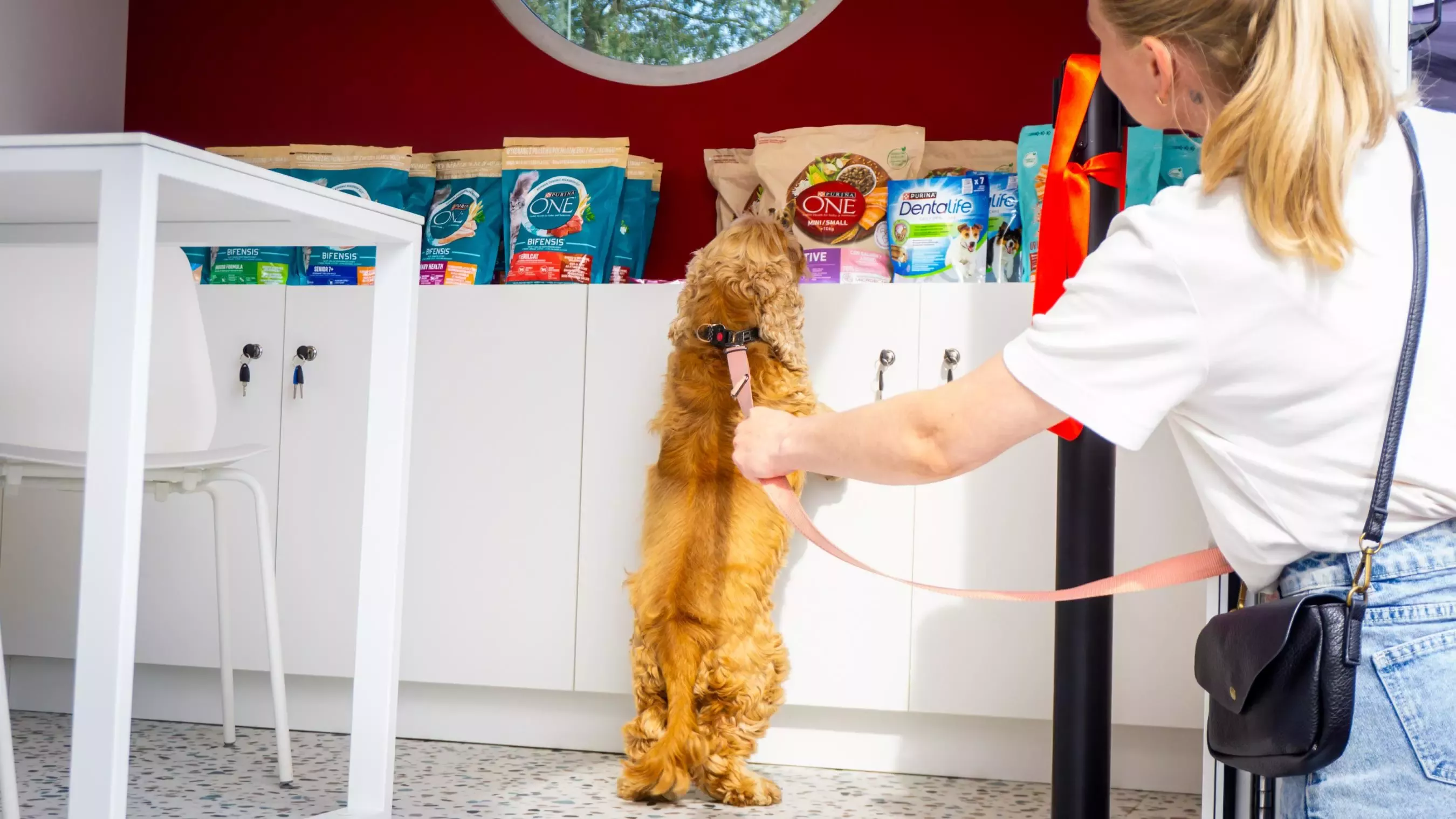 Purina ONE