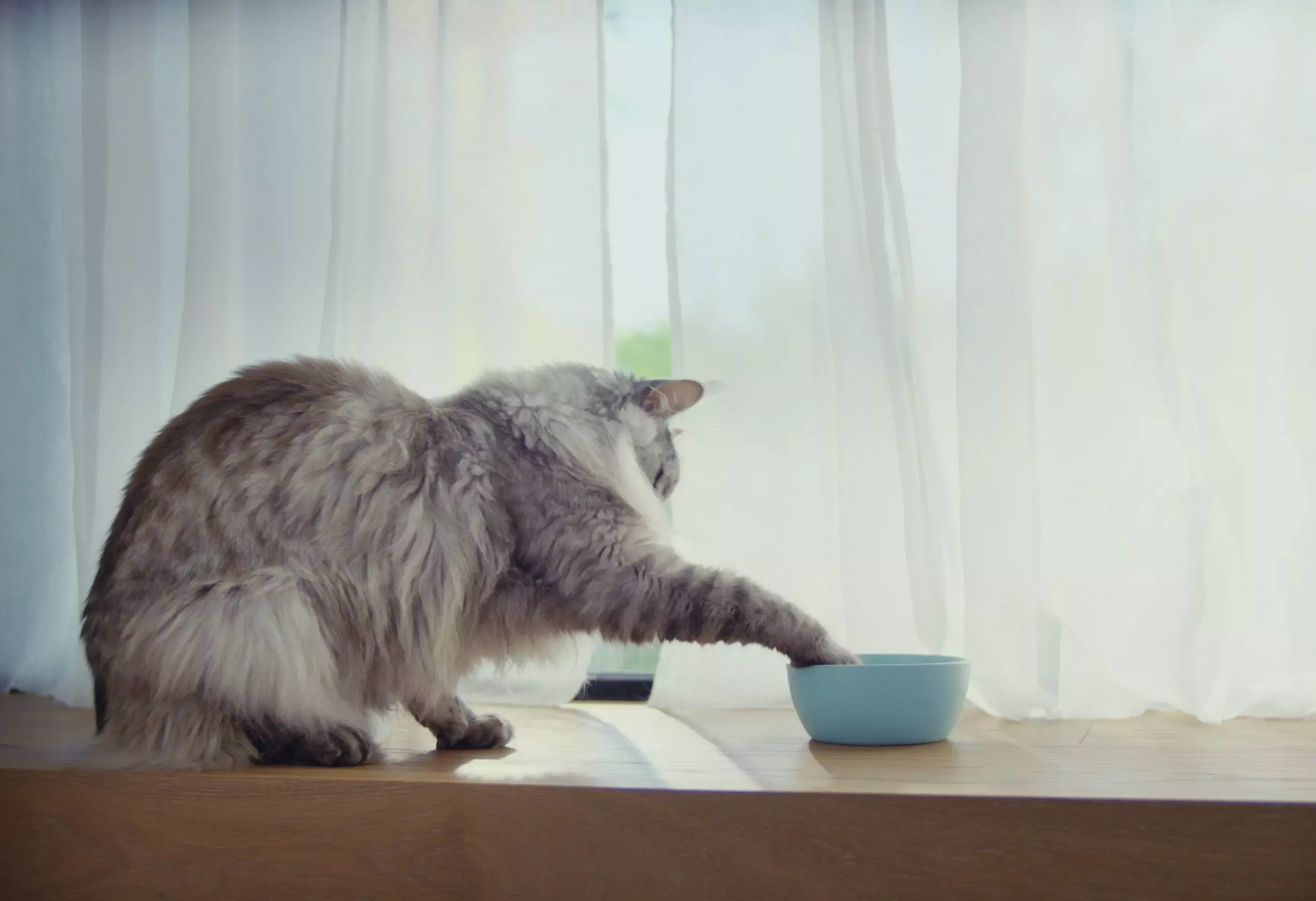 Purina ONE