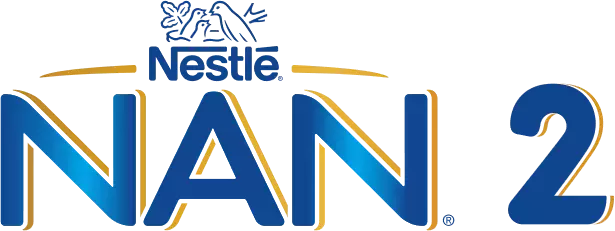 NAN 2 logo