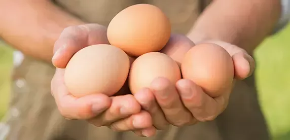 cage-free eggs