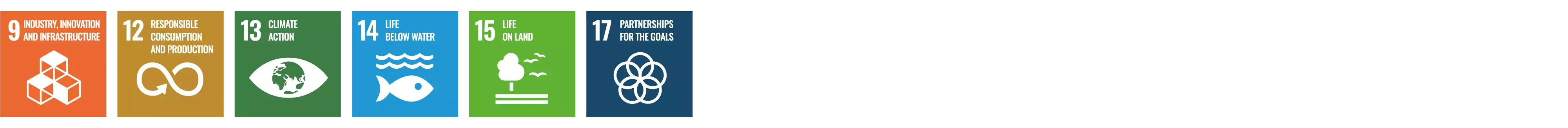 SDG 9, 12, 13, 14, 15, 17